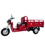 Customized Body 800W Light Load Three Wheel Cargo Motorcycle Tricycle Trike Bike