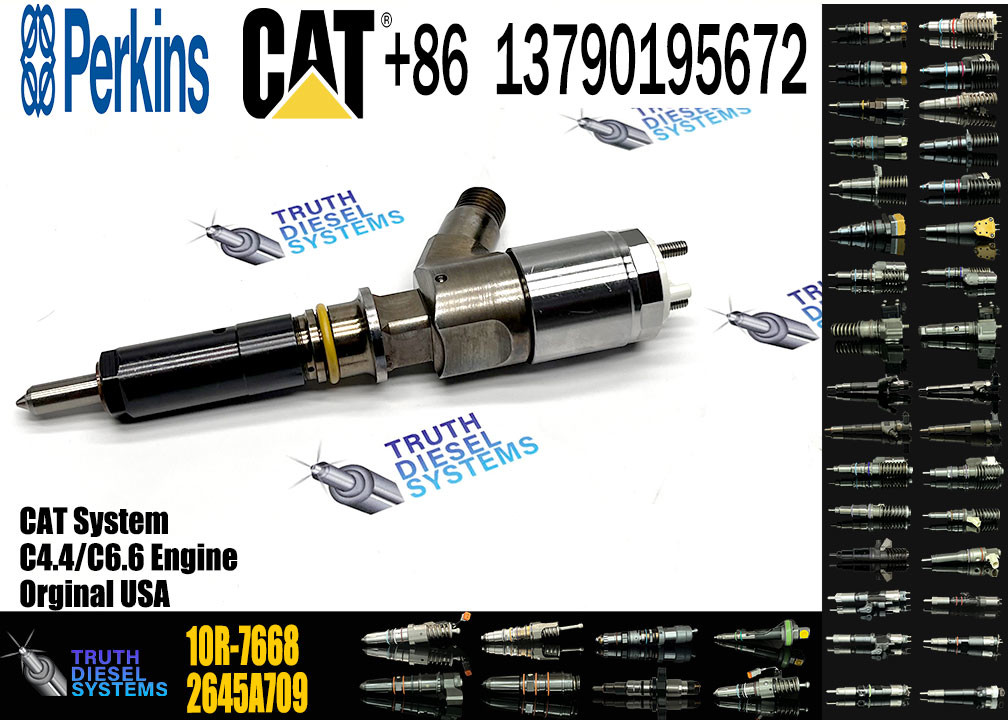 Engine Fuel Injector 2645A747 10R-7671 10R-7672 2645A718 10R-7673 10R-7676 2645A734 10R-7674 10R-7668