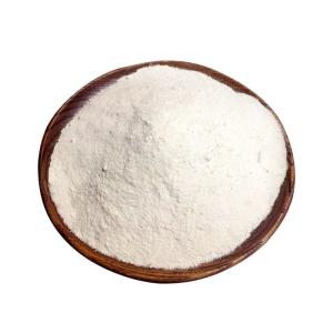 China Garlic Seasoning Powder With Natural Ingredients factory