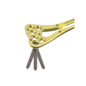 China Stainless Steel / Titanium Medical Orthopedic Locking Plate Distal Radius Multi-Axial Implants factory