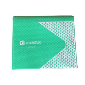 Silk Screen Printing Custom Shipping Bubble Envelopes Puncture Resistant