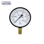 Water Pool Filters 60mm 100mm 10 Bar Pressure Manometer Gauge