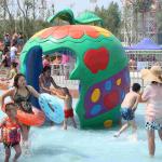 Customized Aqua Play, Octopus Spray, Fiberglass Spray Park Equipment For
