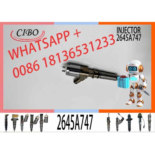 Excavator Injector Engine C4.4 C4.4DE110 Diesel Fuel Injector 2645A747 320-0680 10R-7672