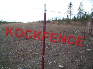 China Customized Steel Star Picket , Hot Dipped Galvanized Y Fence Post factory