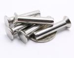 18-8 Flat Head Stainless Steel Solid Rivets , Countersunk Head Solid Rivet