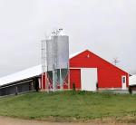 Poultry Steel Frame Prefab House Automatic Broiler Chicken Farming Equipment