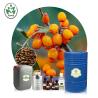 Buy cheap Hippophae Rhamnoides Aromatherapy Essential Oils Sea Buckthorn Seed Oil 5kg Bulk from wholesalers