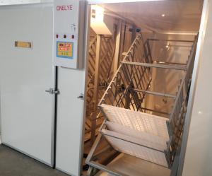 China Large Capacity Commercial Egg Incubator 10000 Eggs Pheasant Parrot Egg Hatching factory