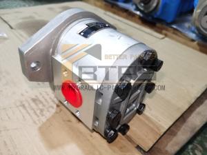 China AZPG-11-038-RDC7KB-SO0811 Hydraulic Gear Pump High Pressure Rexroth Pistion Pump factory
