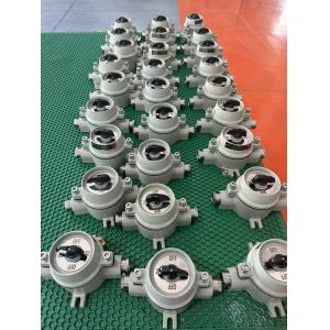 380VAC Explosion Proof Illuminated On/Off Switch – Flameproof for Hazardous