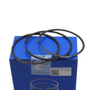 China 6738-31-2031 6BT 6D102 Diesel Engine Piston Ring For Komatsu Excavator factory