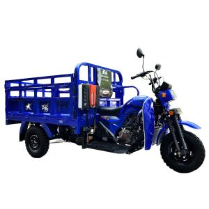 China Customized 175cc Water Cooling Motorized Tricycle for Farming and Cargo Transportation factory