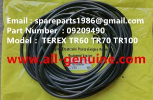 China 09209490 O RING TEREX MINING NHL DUMP TRUCK TR35 TR50 TR60 TR100 3305B 3305F 3303 3307 TR45 TR70 MT4400 CUMMINS ALLISON factory