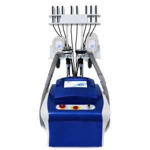China Cryolipolysis Lipo Laser Cool Sculpting Machine 360 Fat Freezing on sale