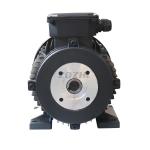 24mm Shaft 7.5Hp 1400Rpm Hollow Shaft Electric Motor