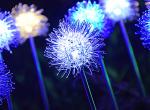 LED Solar Energy Aluminum Wire Ball Lights Outdoor Waterproof Garden Villa