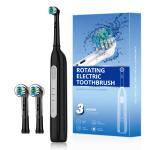 Wholesale BX11 Rechargeable Rotating Brush Oral Heads Timer Modes Usb Electric