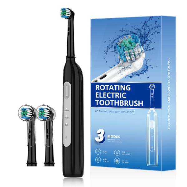 Wholesale BX11 Rechargeable Rotating Brush Oral Heads Timer Modes Usb Electric