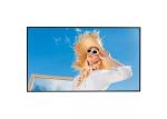 55 Inch Indoor Ultra Thin Digital Signage Display Panels For Stores Grocery