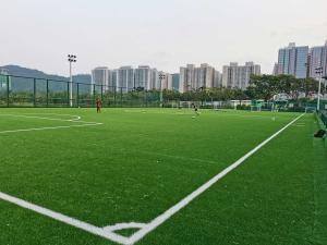 China Profession Cesped Artificial Grass Football Turf With Factory Price 55mm factory