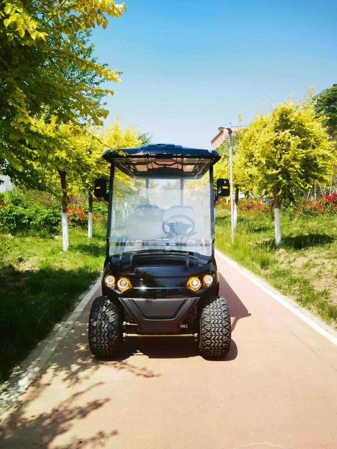 Black Six-Seater Customizable Electric Golf Cart With MacPherson Independent Suspension 4kw Lithium Battery 72v