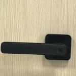 Black Fingerprint Keypad Door Lock Zinc Alloy For Office / Room