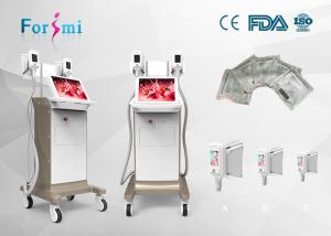 China Cryolipolysis equipment 3.5 inch handle scree Cryolipolysis Slimming Machine FMC-I Fat Freezing Machine factory