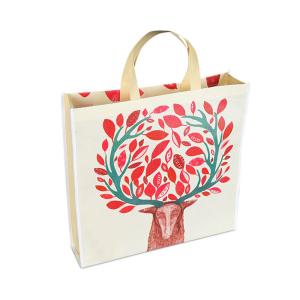 China Anti Bacterial PP Laminated Non Woven Handle Bag Anti Shrink Customized Non Woven Bag factory
