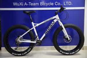 China Custom Chromoly 8 Speed Fat Tire Bicycle 700C Steel factory