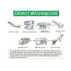 stainless steel onion powder line onion slicing washing drying processing
