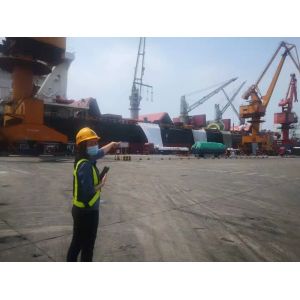 Urea SNCR Flue Gas Denitrification Project In Coal Power Plant