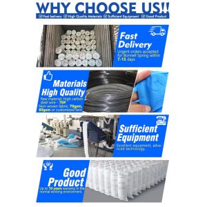 Customized Mattress Pocket Spring Unit Rolled Individual Pocket Spring