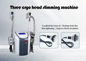 China Slimming Body Fat Removal Criolipolisis machine factory