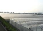 Multi Span Hydroponic Tunnel Plastic Cover Greenhouse