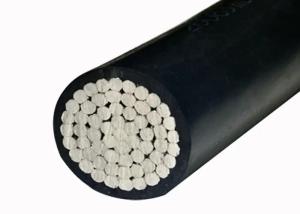 China 0.6/1kv Al Single Core XLPE Cable ACSR Power Transmission Line factory