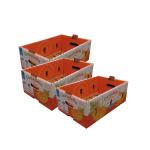 Biodegradable Fruit Box Carton Box Fruit Vegetable Apple Box Packaging