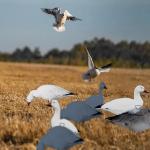 Feeder Body Lifelike Eva Plastic Silhouette Geese Decoy For Juvenile Snow Goose