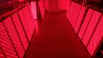 600W Infrared Light Therapy Devices For Home Clinic Gymnasium
