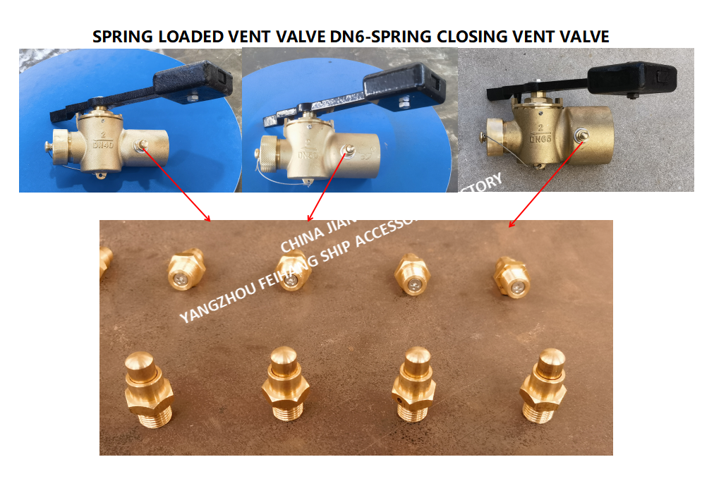 DN6 Spring Closing Vent Valve with Thread M13 and CB/T3778-1999 Standard for Marine Applications