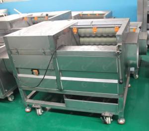 China Legume Vegetable Cleaning Machine For Carrot Potato Tomato factory