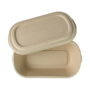 China 800ml Rectangular Disposable Packaging Containers , Bamboo Fibre Paper Pulp Box factory