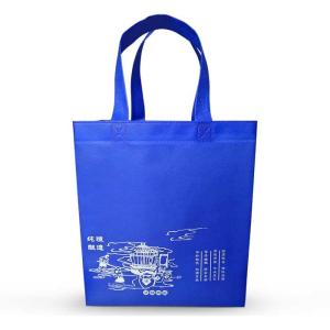 China Eco Friendly Non Woven Shopping Bags Silk Screen Non Woven Shoe Bag factory