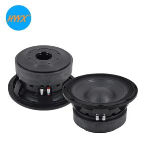 China Double Magnet 10 Inch Woofer Speaker factory