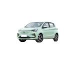 Pure Electric Mini EV Cars Max Speed 101 Km/H Long Range 310KM