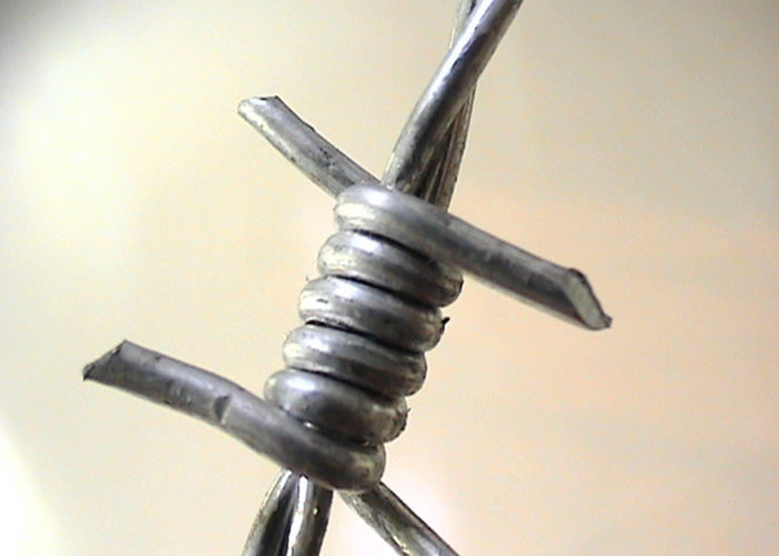 2.5mm Low Carbon Steel Galvanised Barbed Wire In 28cm Roll