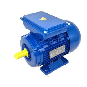 China 100% Copper Low Noise 0.37kw-3kw Ac Asynchronous Electric Motor Single Phase Asynchronous Motor factory