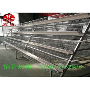 China Hot Galvanized Poultry Manure Removal System 5 Tiers Intelligent  Control on sale