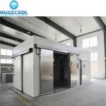 Assembled 600 Square Meter Cold Storage Refrigerator Provide Cold Room