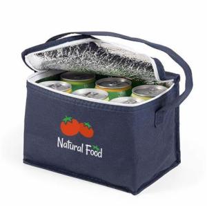China Outdoor Portable Insulated Thermal Bags Bulk Keep Your Refreshments Cool factory